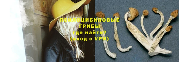 мет Коряжма