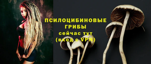 дурь Костерёво