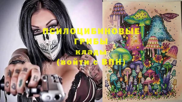 дурь Костерёво