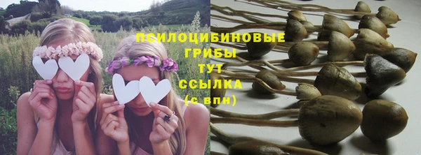мет Коряжма